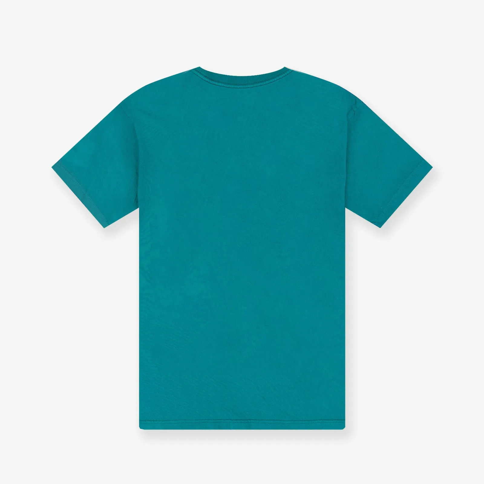 Charlotte Hornets Brush Off Tee - Faded Teal