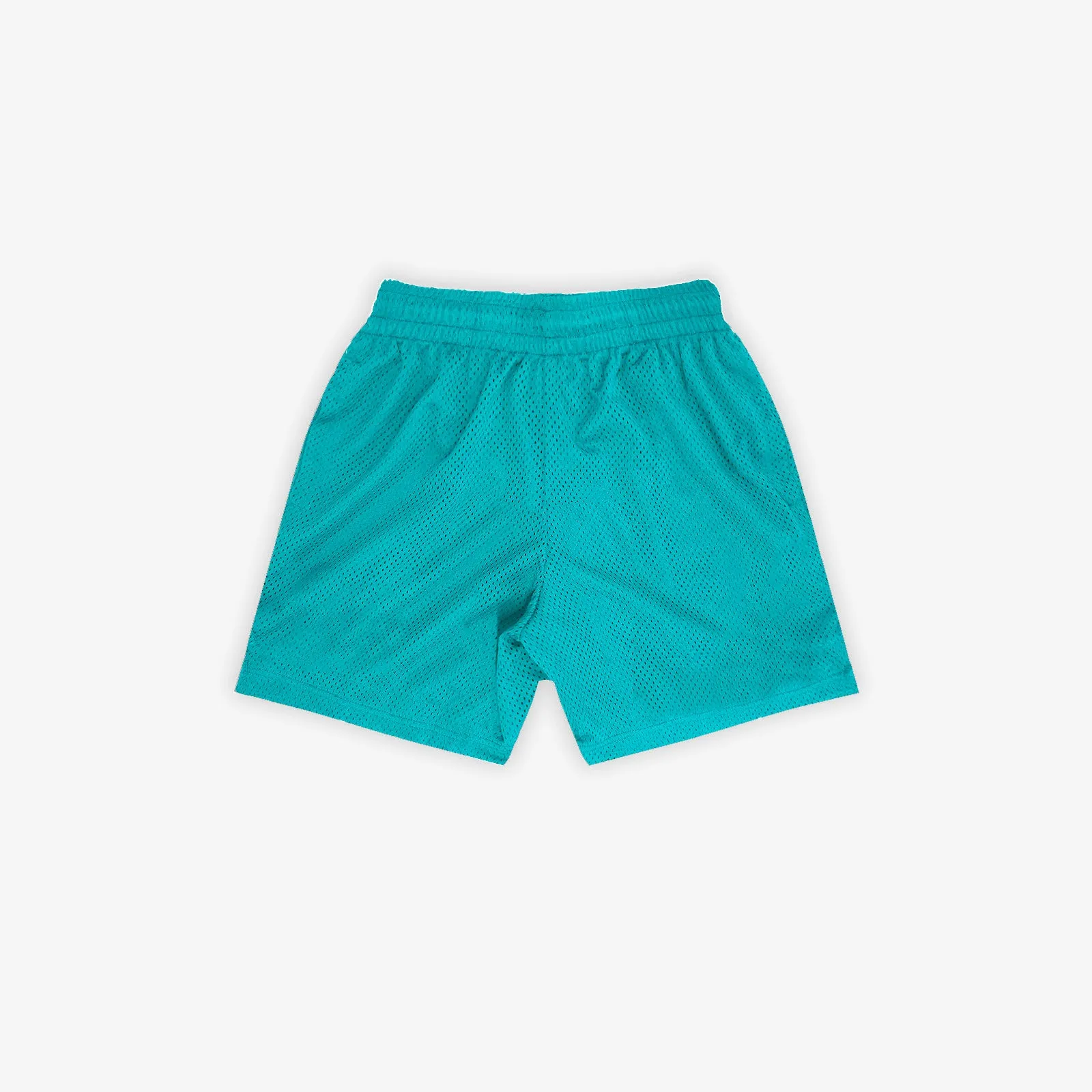 Charlotte Hornets Dri-FIT Play Youth Shorts - Teal