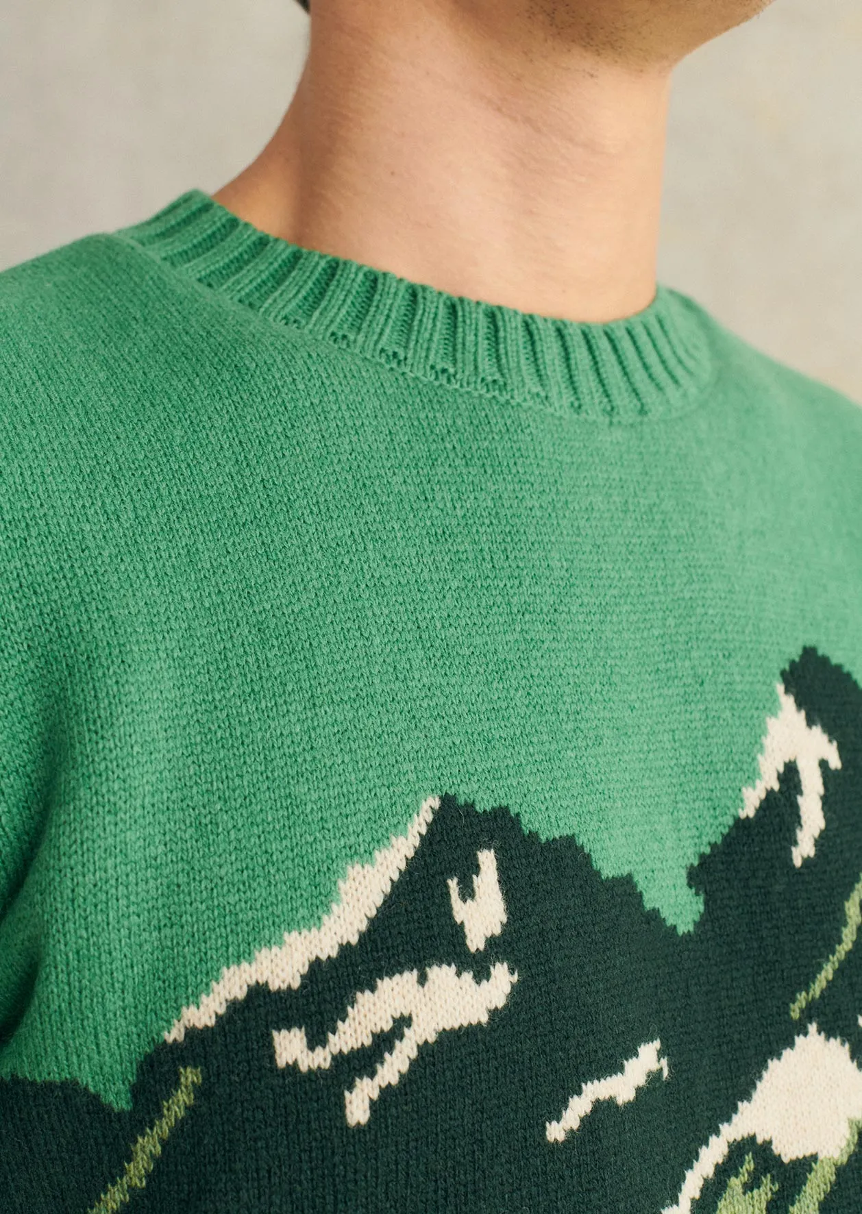 De Bonne Facture Jacquard Mountain Sweater / Green