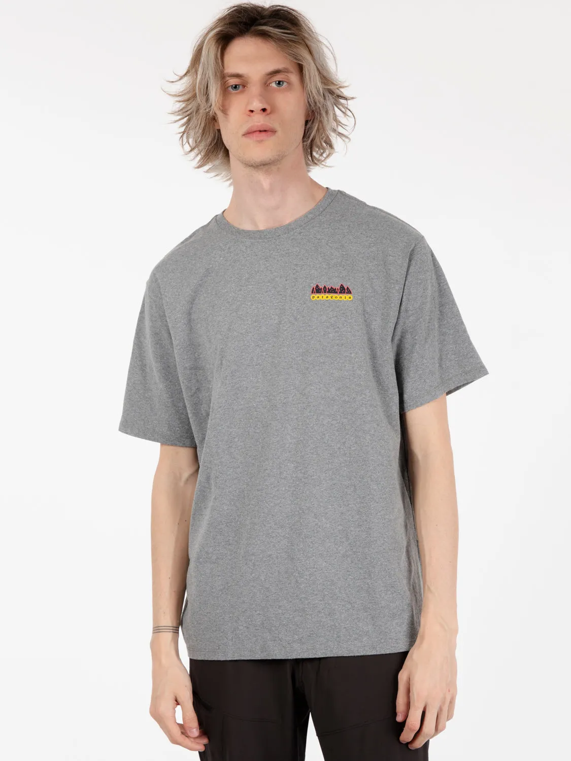 Fitz Roy wild tee grey