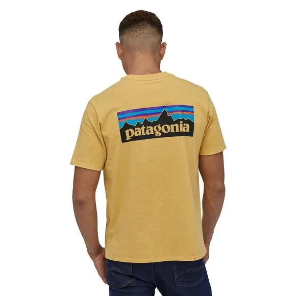 PATAGONIA P-6 Logo Responsibili-Tee Surfboard SUYE